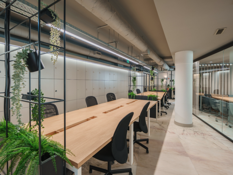 Firmeza Co-Working and Flats
